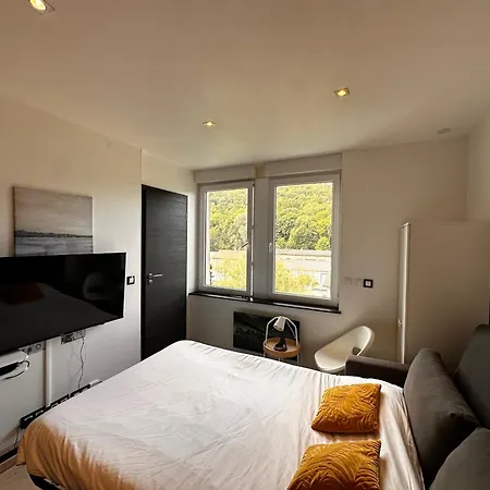 Studio#101 A La Frontiere Luxembourgeoise, Calme, Stationnement Gratuit Apartman *